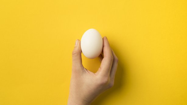 انڈے کا فنڈہ، گدگداتی ہوئی تحریر جسے پڑھ کے آپ خوشگوار ہوجائیں گے