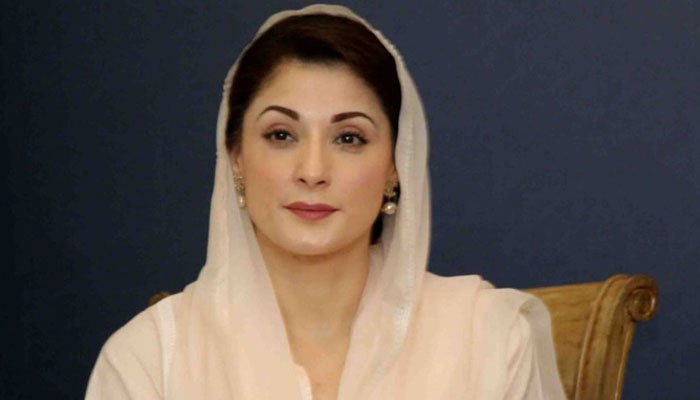 مریم نوازشریف،پاکستان مسلم لیگ ن کی نائب صدر