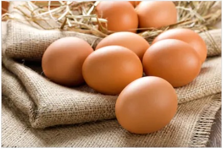 اب مرغیاں پلاسٹک کے خول والے انڈے دیاکریں گی؟