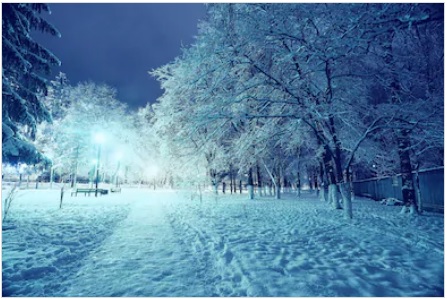 موسم سرما کی سرد برفانی رات، درخت، روشنی