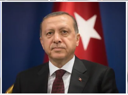 رجب طیب ایردوان ، صدر ترکی