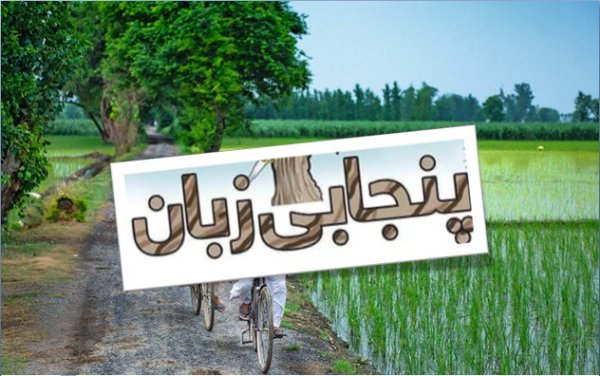 پنجابی اکھان …….. متروک ہوتا قیمتی سرمایہ