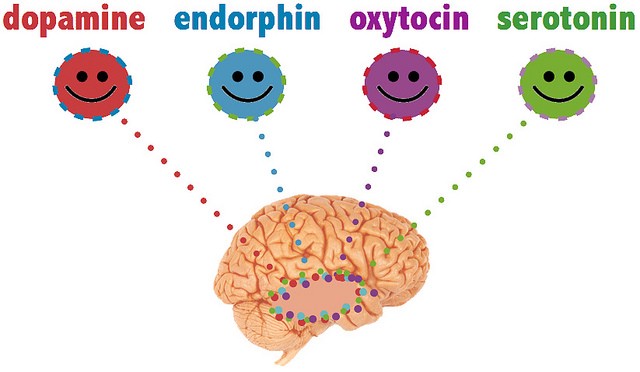 خوشی پیدا کرنے والے ہارمونز