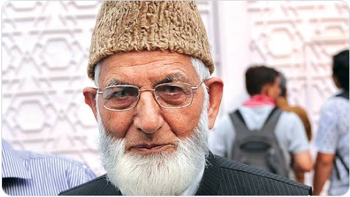 سید علی گیلانی بڑے آدمی کیسے بنے؟ ان کی کہانی، انہی کی زبانی