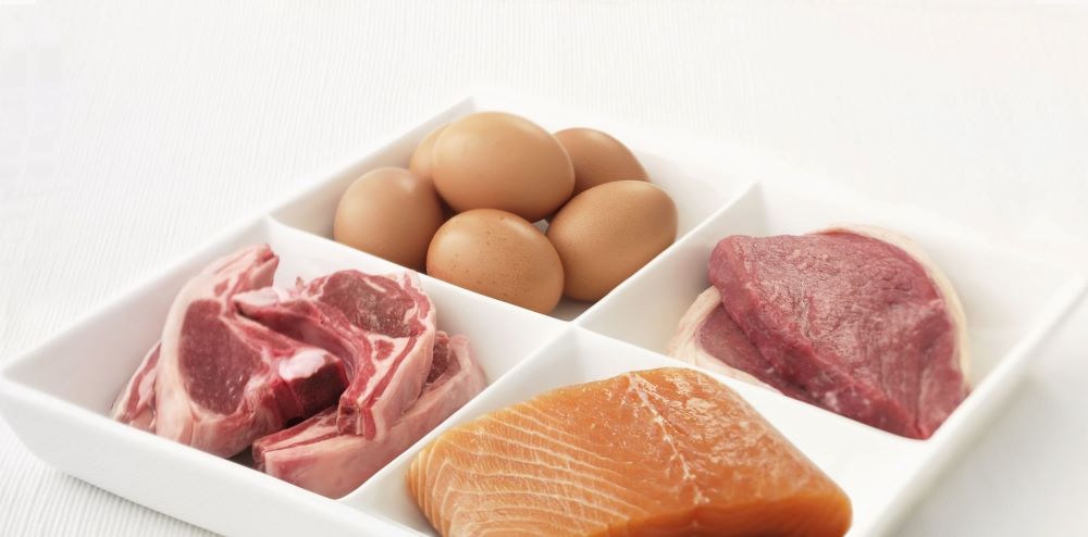 پروٹین (لحمیات)،ہماری متوازن غذا کا حصہ کیوں ہے ؟