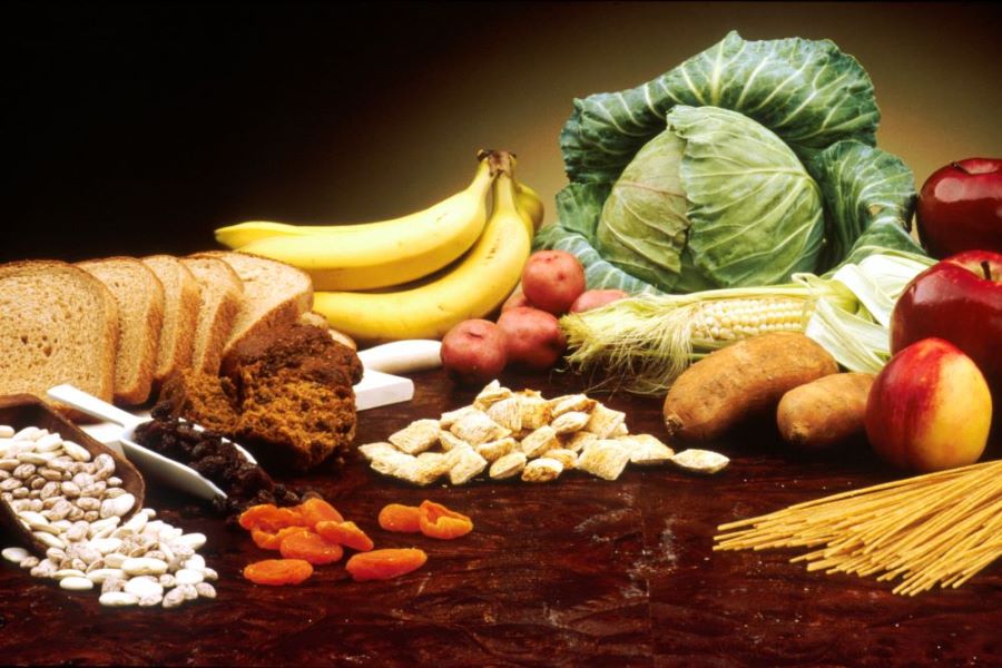غذائی ریشہ (Dietary fiber) متوازن خوراک کا کیوں جزو لازم ہے؟