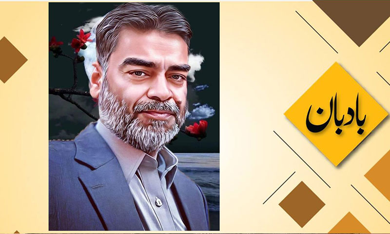 پہلگام حملہ: اسکرپٹ، ہدایت کاری، اداکاری کی غلطیاں